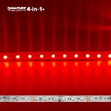 QolorFLEX Quad Chip RGBA Plus Deep Red LED Tape, deep red colorway (still)