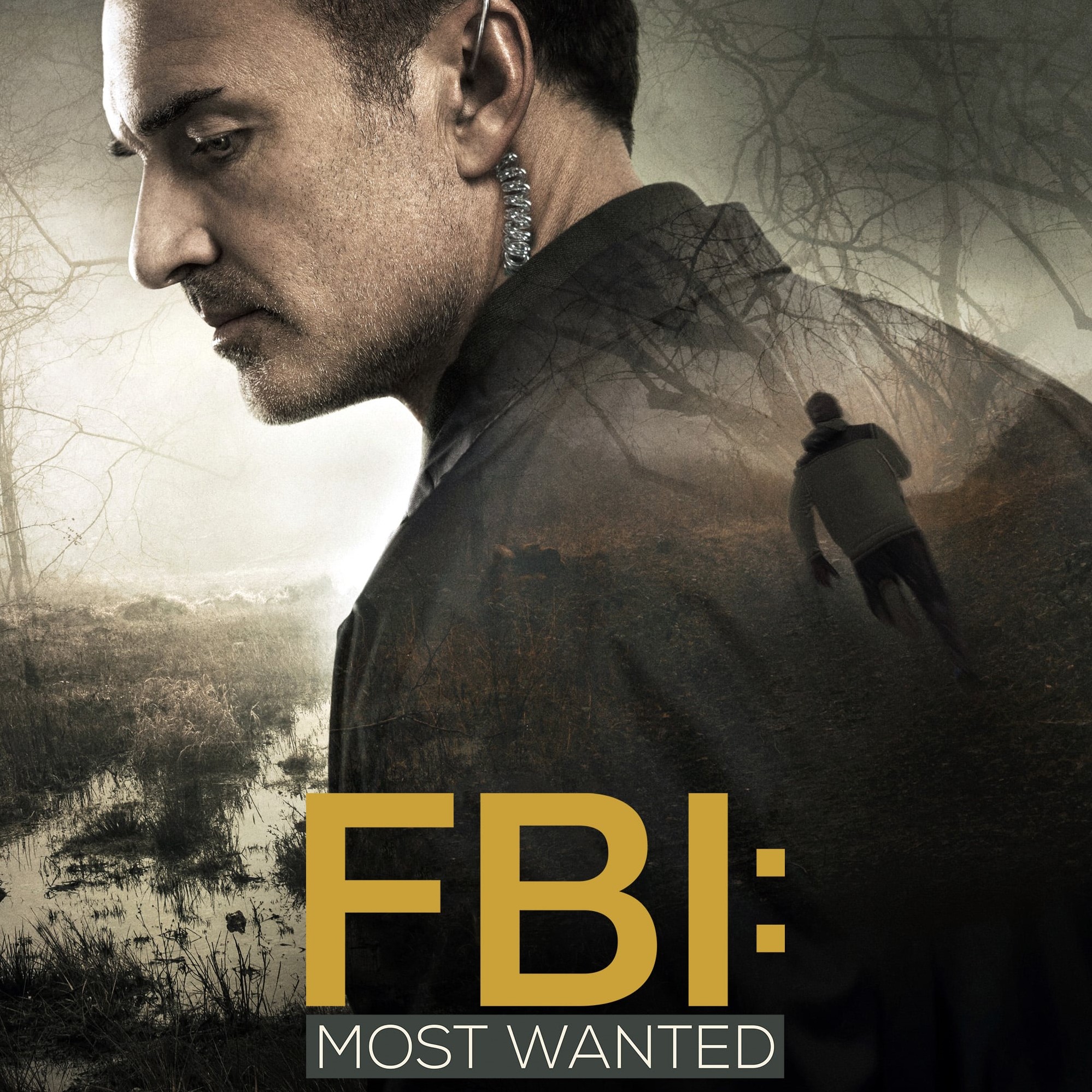 FBI Most Wanted television series