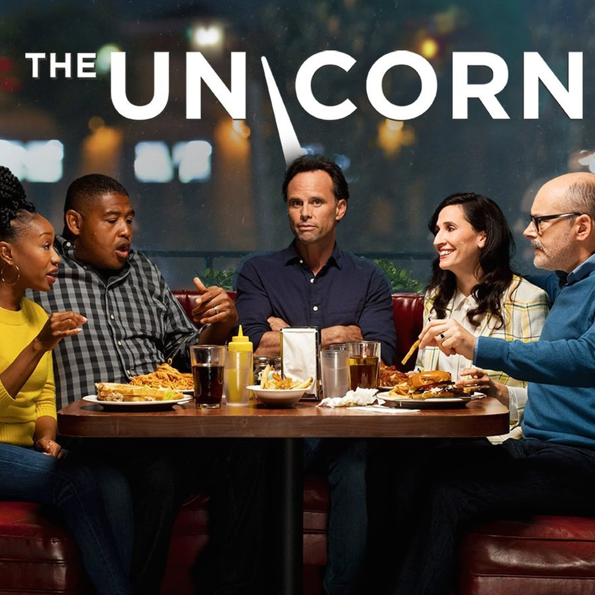The Unicorn television series